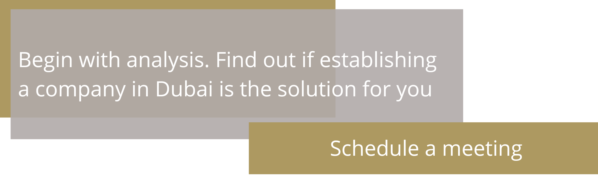 starting company in Dubai